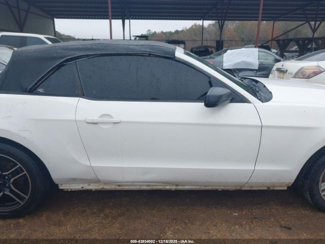 Ford Mustang V6 Image 8